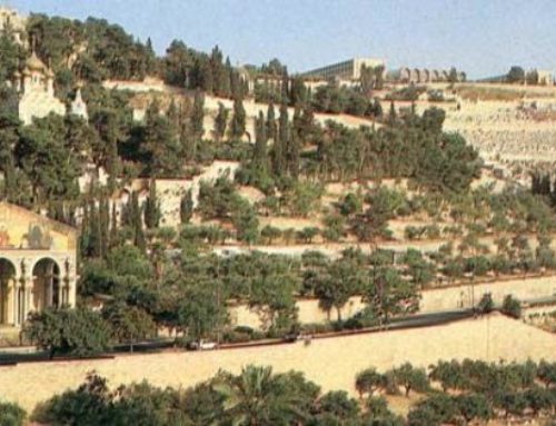 Mount Olive Eastern Overlook
