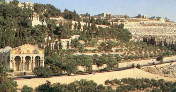 Mount Tur and Mount of Olives in Jerusalem